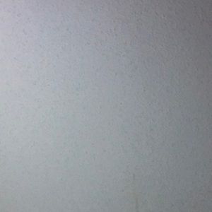 Meet your Posher, Nathalia